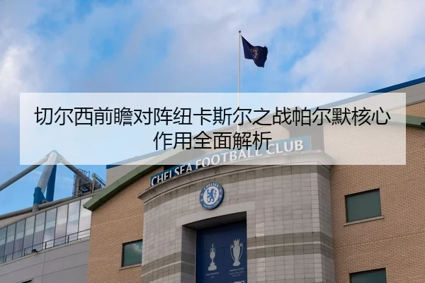 切尔西前瞻对阵纽卡斯尔之战帕尔默核心作用全面解析